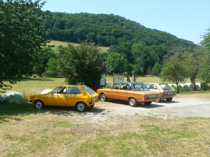 Tour mitten aufs Land. Kühe und Lamas auf der Weide.